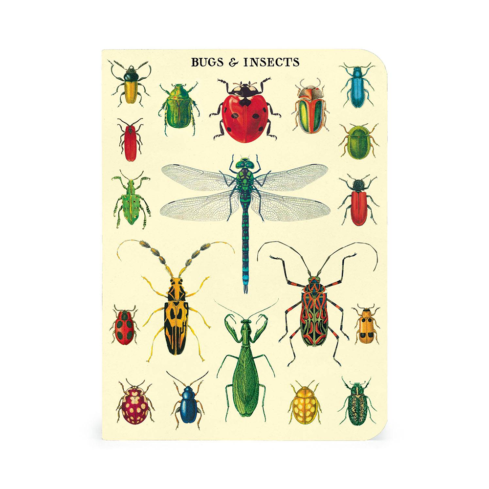 Cavallini Mini Notebook Bugs and Insects Lined