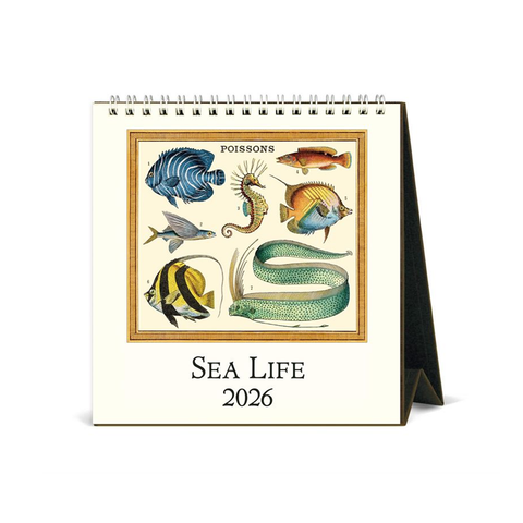 Cavallini 2026 Desk Calendar Sea Life