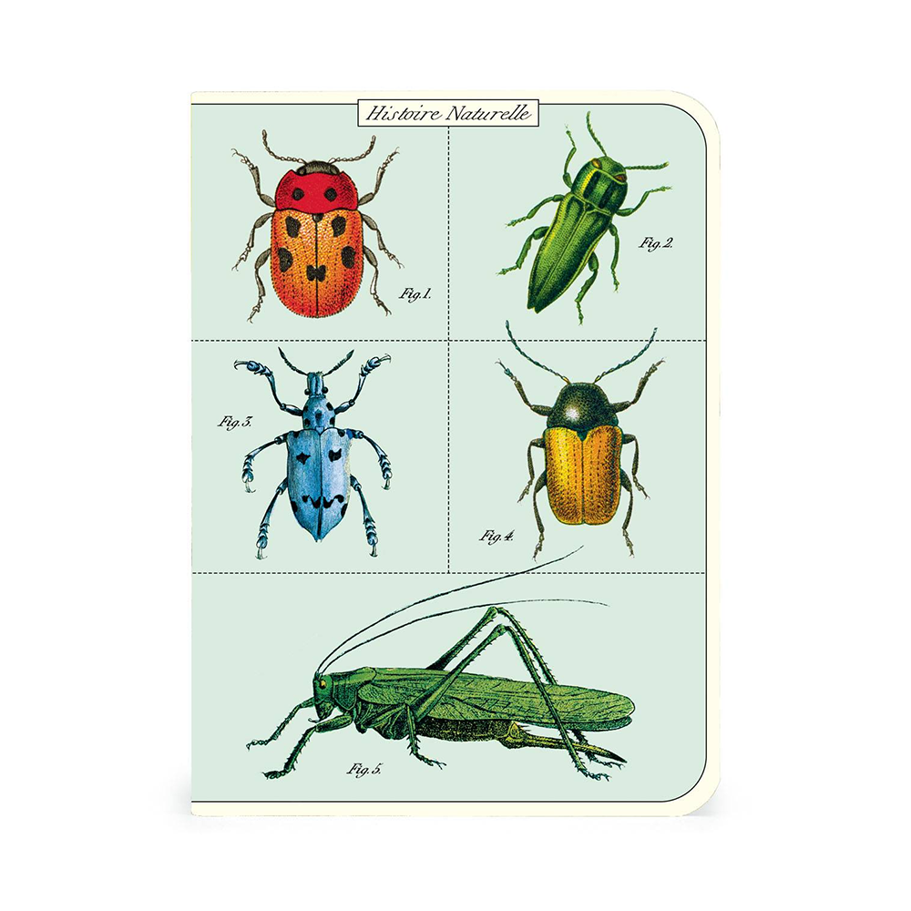 Cavallini Mini Notebook Bugs and Insects Blank
