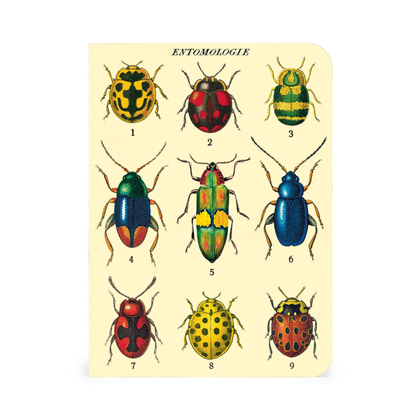 Cavallini Mini Notebook Bugs and Insects Grid