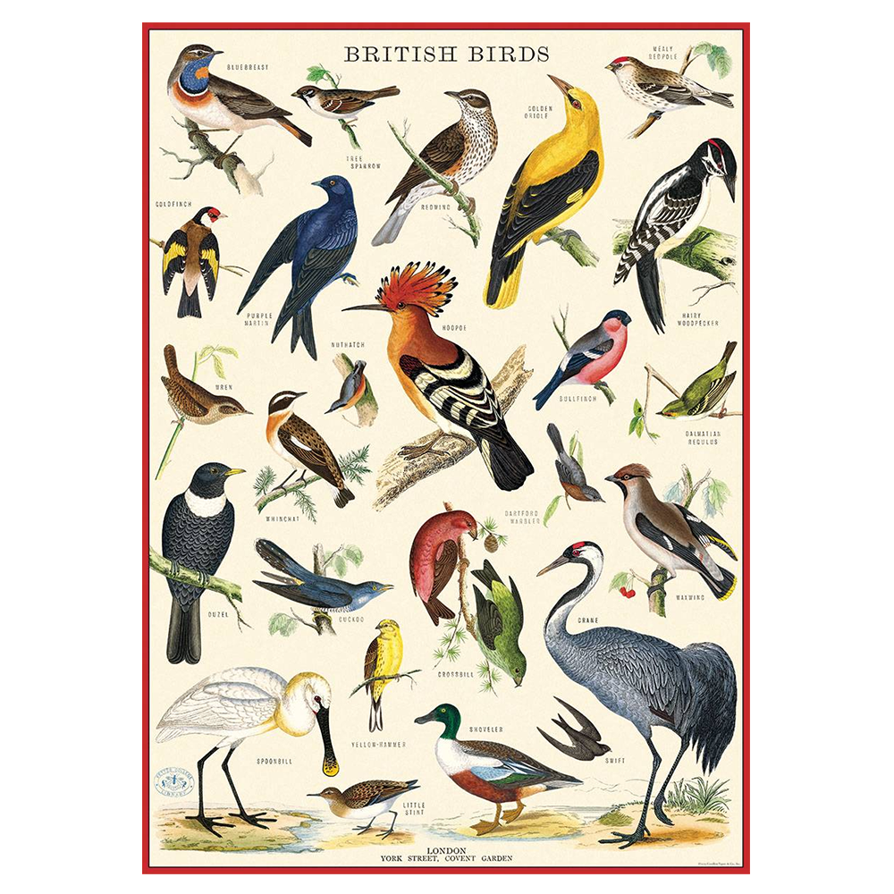 Cavallini Vintage Poster British Birds