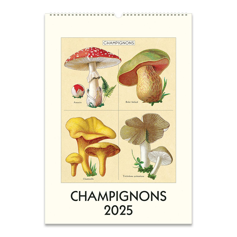 Cavallini 2025 Wall Calendar Mushrooms