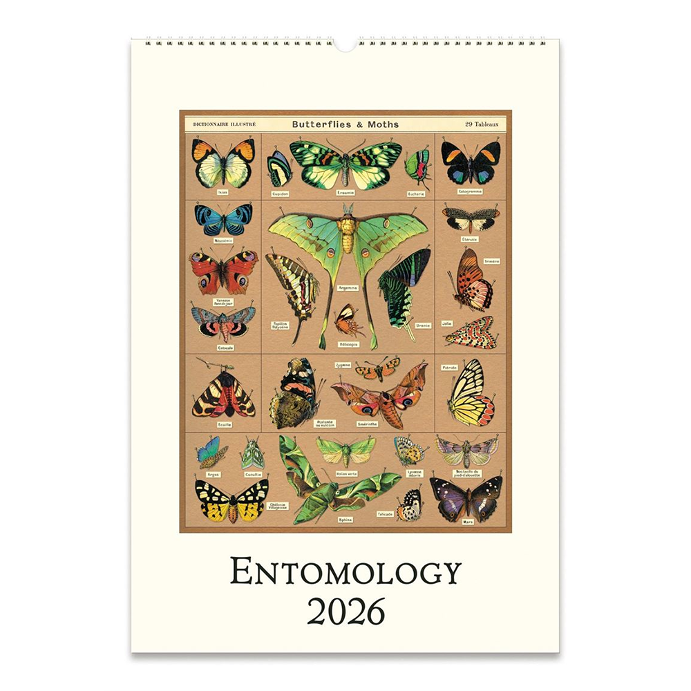Cavallini 2026 Wall Calendar Entomology