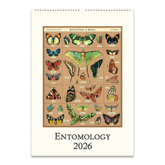 Cavallini 2026 Wall Calendar Entomology
