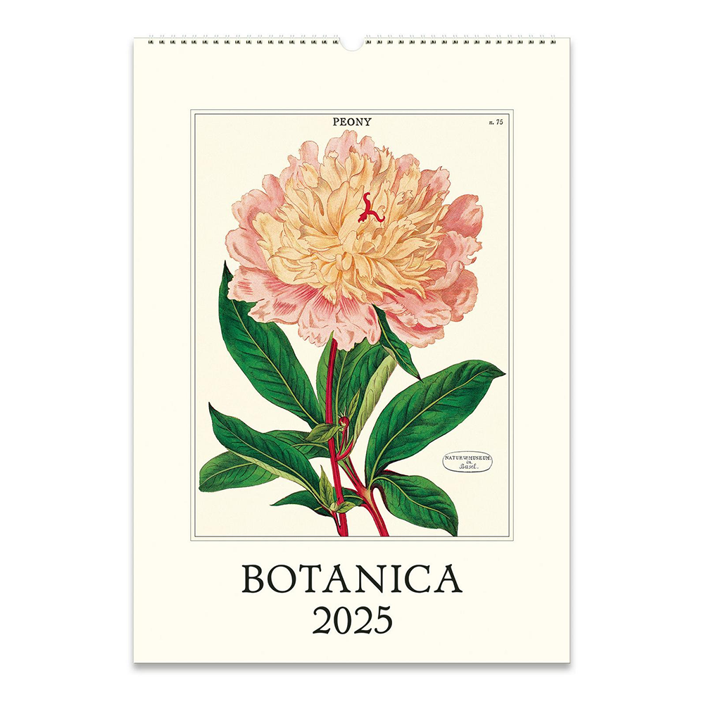 Cavallini 2025 Wall Calendar Botanica