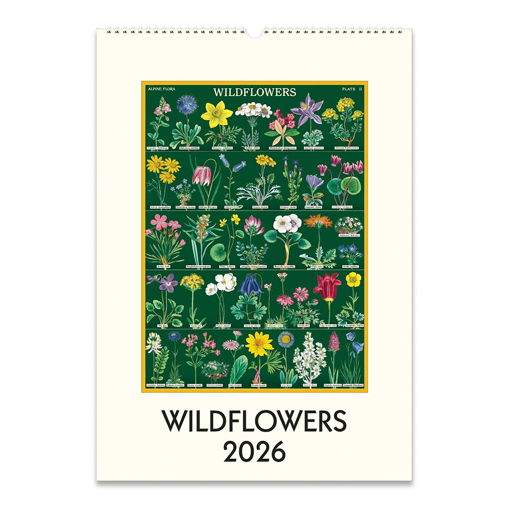 Cavallini 2026 Wall Calendar Wildflowers
