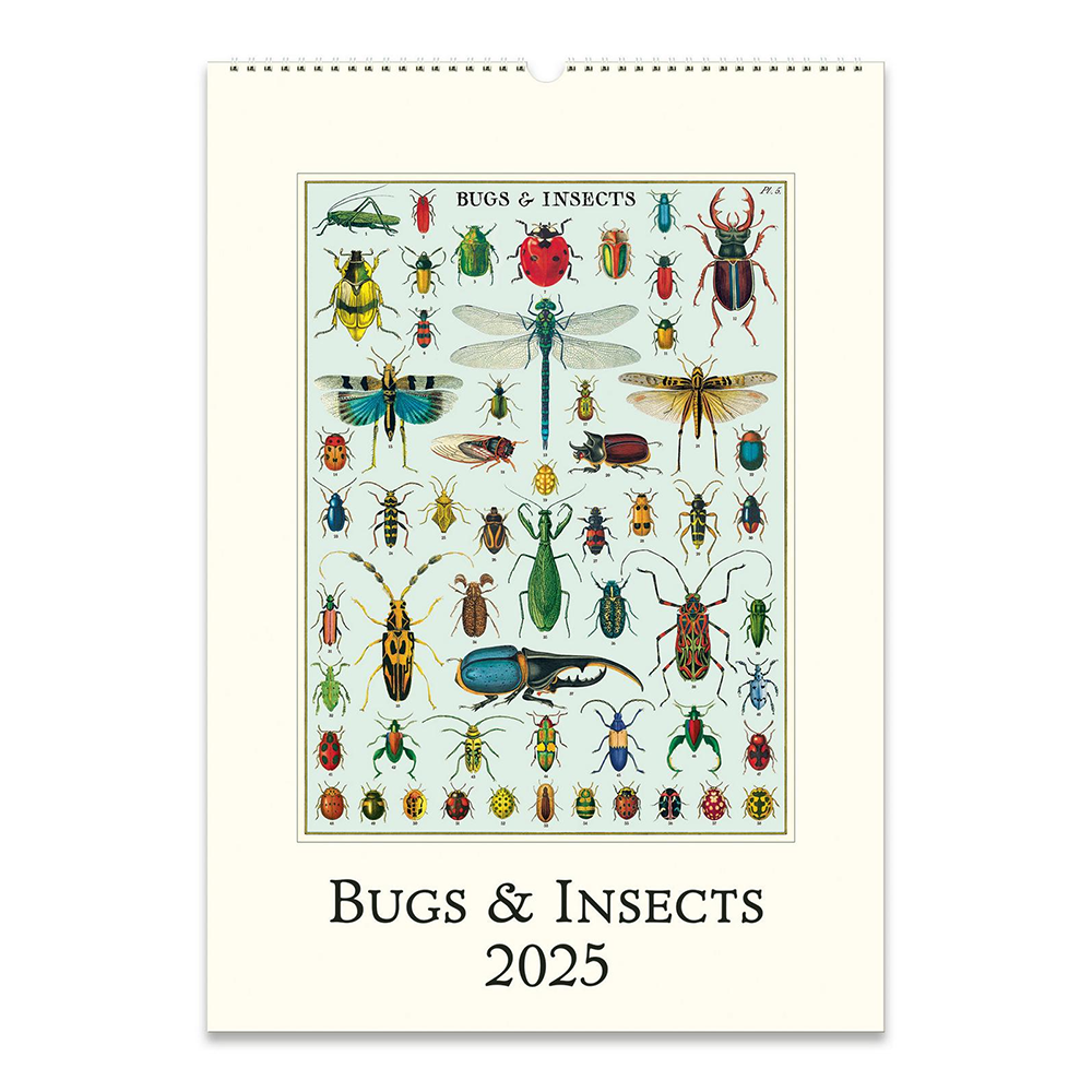 Cavallini 2025 Wall Calendar Bugs and Insects