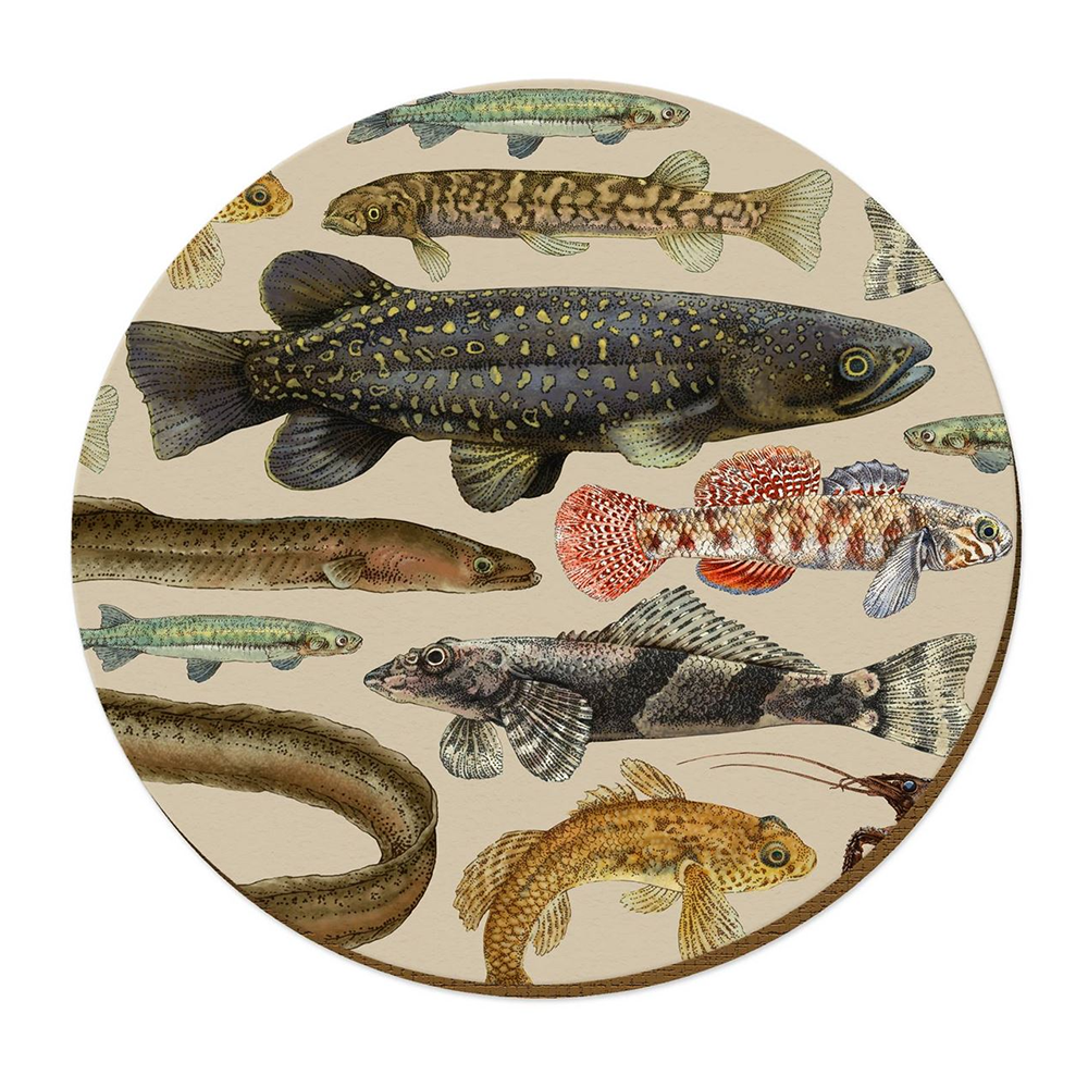 Wolfkamp & Stone Placemat NZ Freshwater Fish