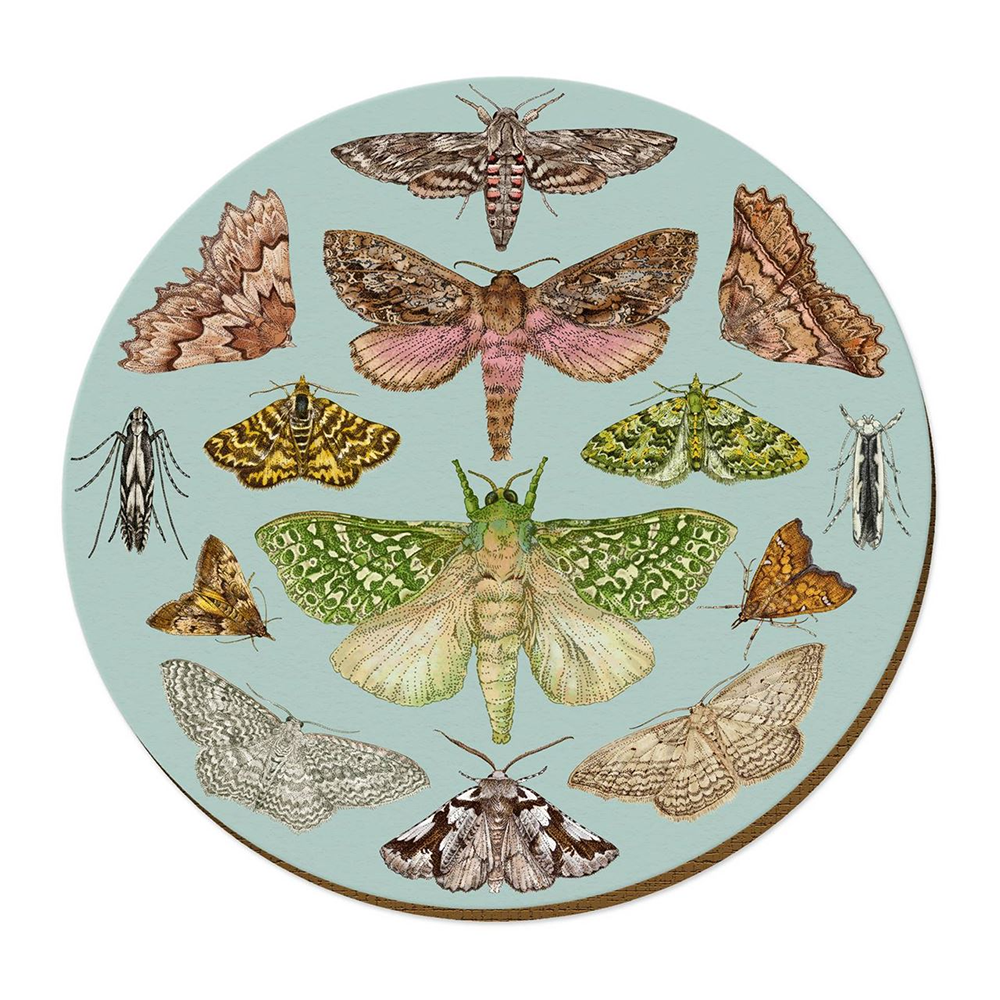 Wolfkamp & Stone Placemat NZ Moths