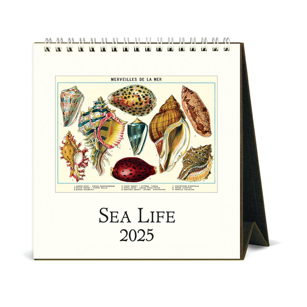 Cavallini 2025 Desk Calendar Sea Life