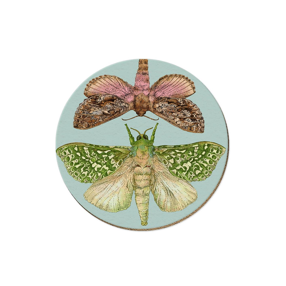 Wolfkamp & Stone NZ Moths Coaster