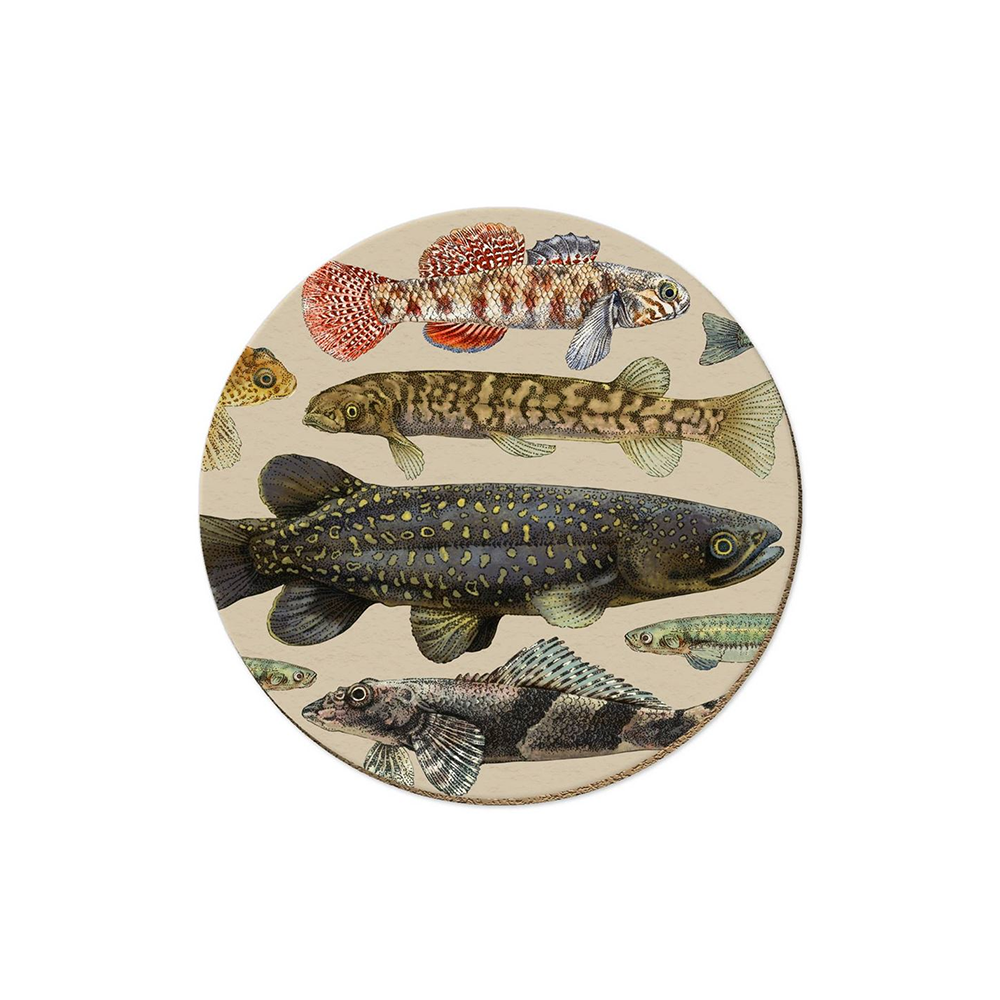 Wolfkamp & Stone NZ Freshwater Fish Coaster