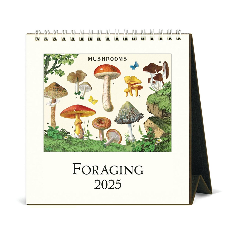 Cavallini 2025 Desk Calendar Foraging