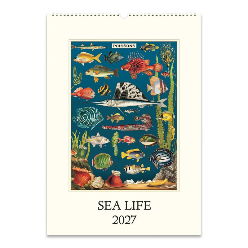 A hanging wall calendar page titled 'SEA LIFE 2027' with an illustrated underwater fish scene. The central artwork shows many colorful sea life species on a dark blue background, and the calendar has an off-white cover with printed title text at the bottom.