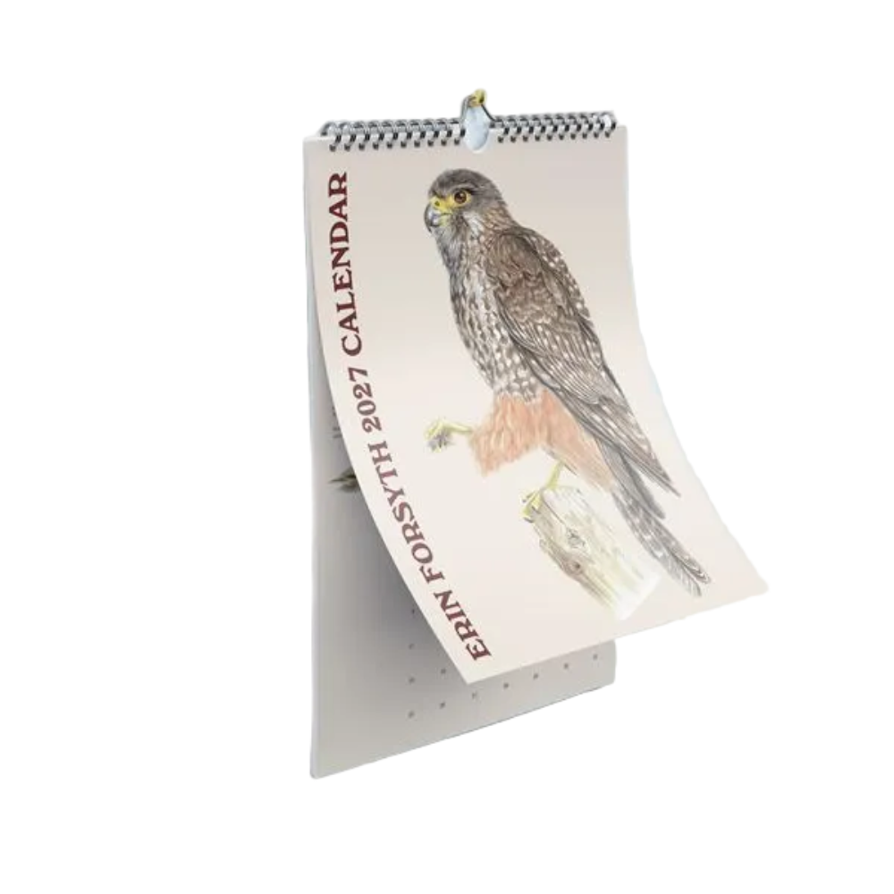 2027 Wall Calendar Erin Forsyth