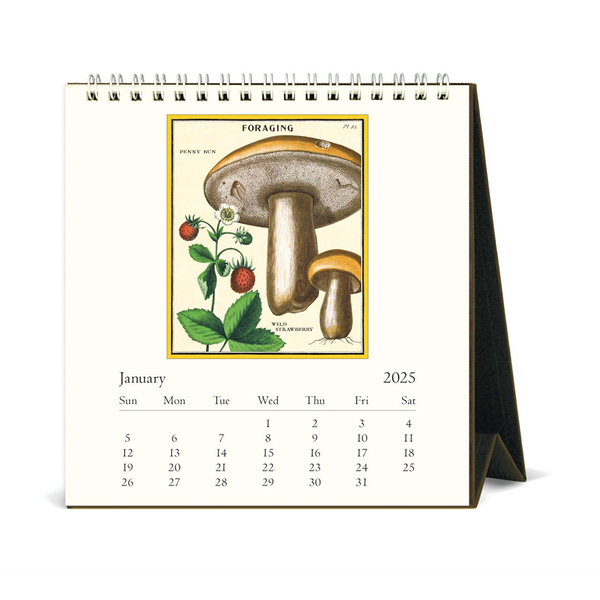 Cavallini 2025 Desk Calendar Foraging