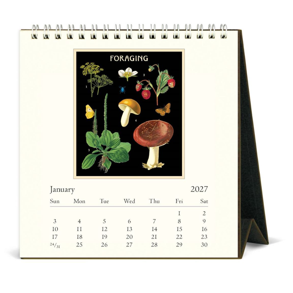 A spiral-bound desk calendar shown open to a January page from 2027, featuring a vintage-style botanical illustration labeled 'FORAGING' with mushrooms, berries, and plants on a black background. The calendar has an off-white page and is photographed on a clean white background.