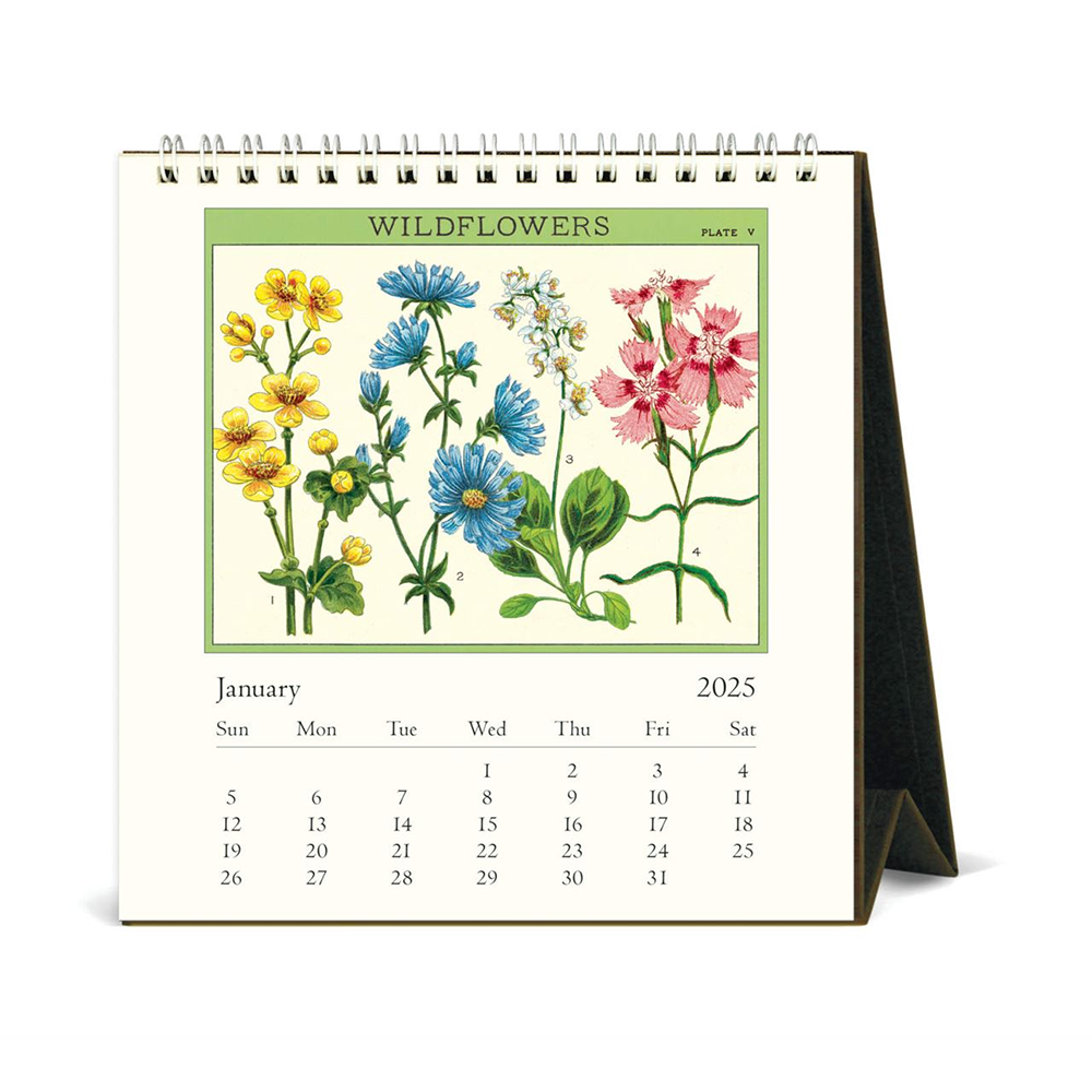 Cavallini 2025 Desk Calendar Wildflowers