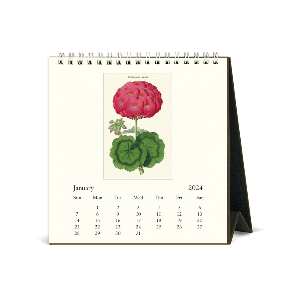 Cavallini 2024 Desk Calendar Botanica Iko Iko