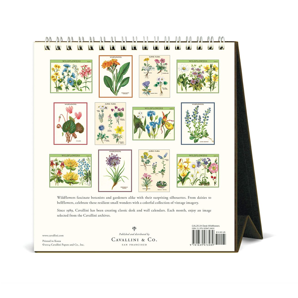 Cavallini 2025 Desk Calendar Wildflowers