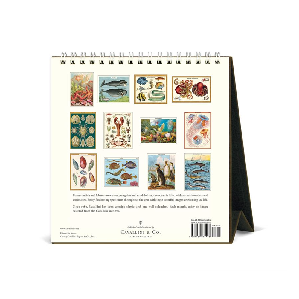 Cavallini 2026 Desk Calendar Sea Life