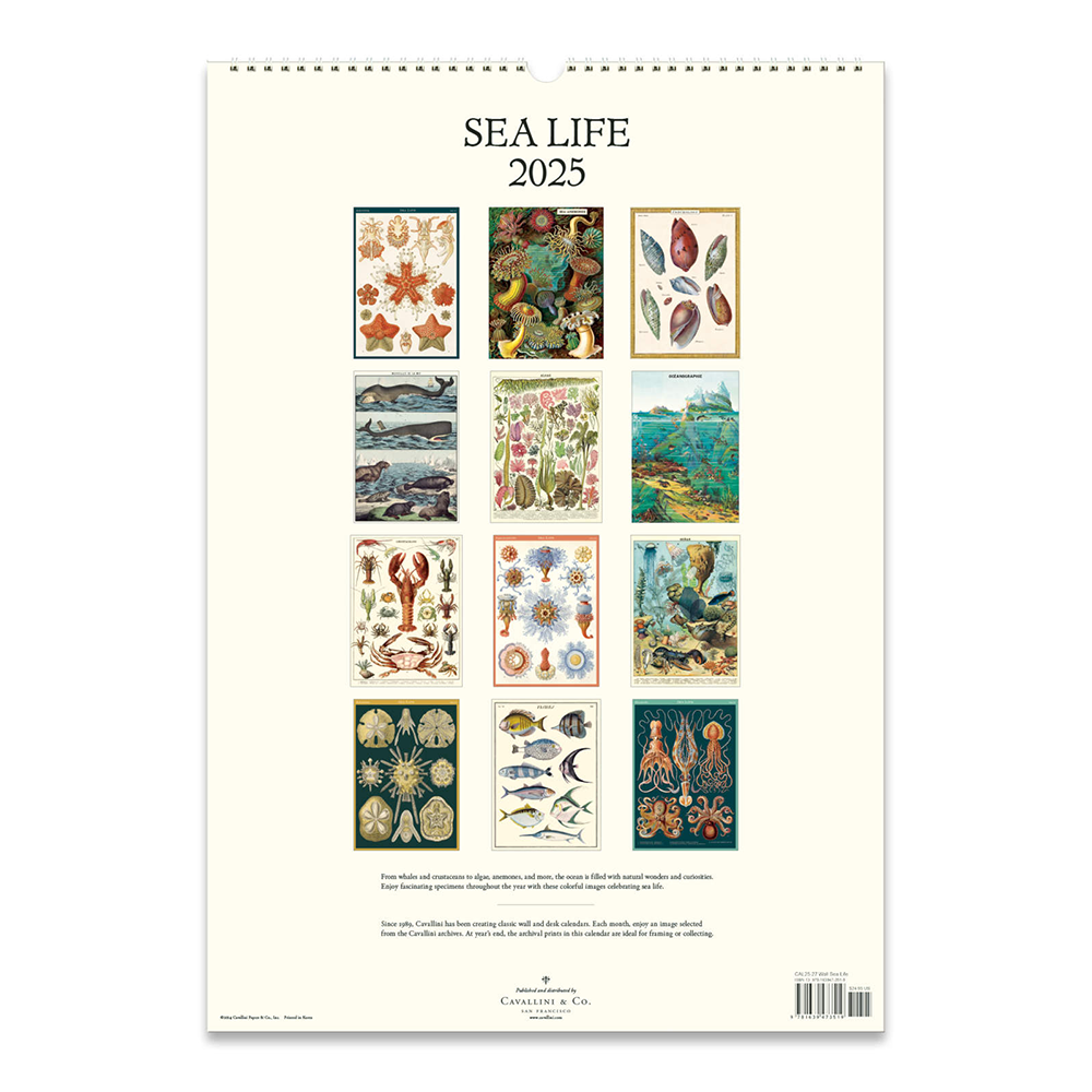 Cavallini 2025 Wall Calendar Sea Life