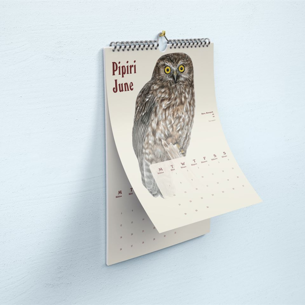 A spiral-bound wall calendar hanging on a light blue wall, showing the June page with an illustration of a brown owl and the text 'Pipiri June'.