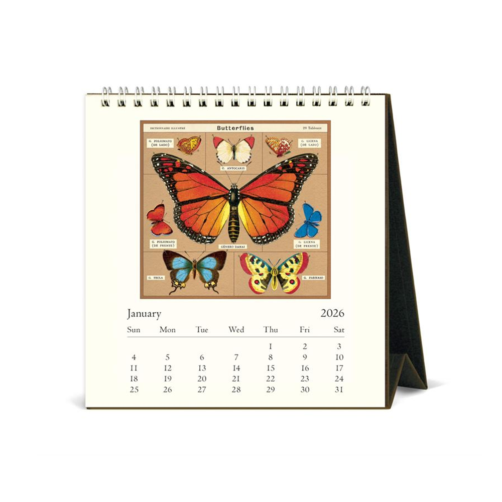 Cavallini 2026 Desk Calendar Butterflies