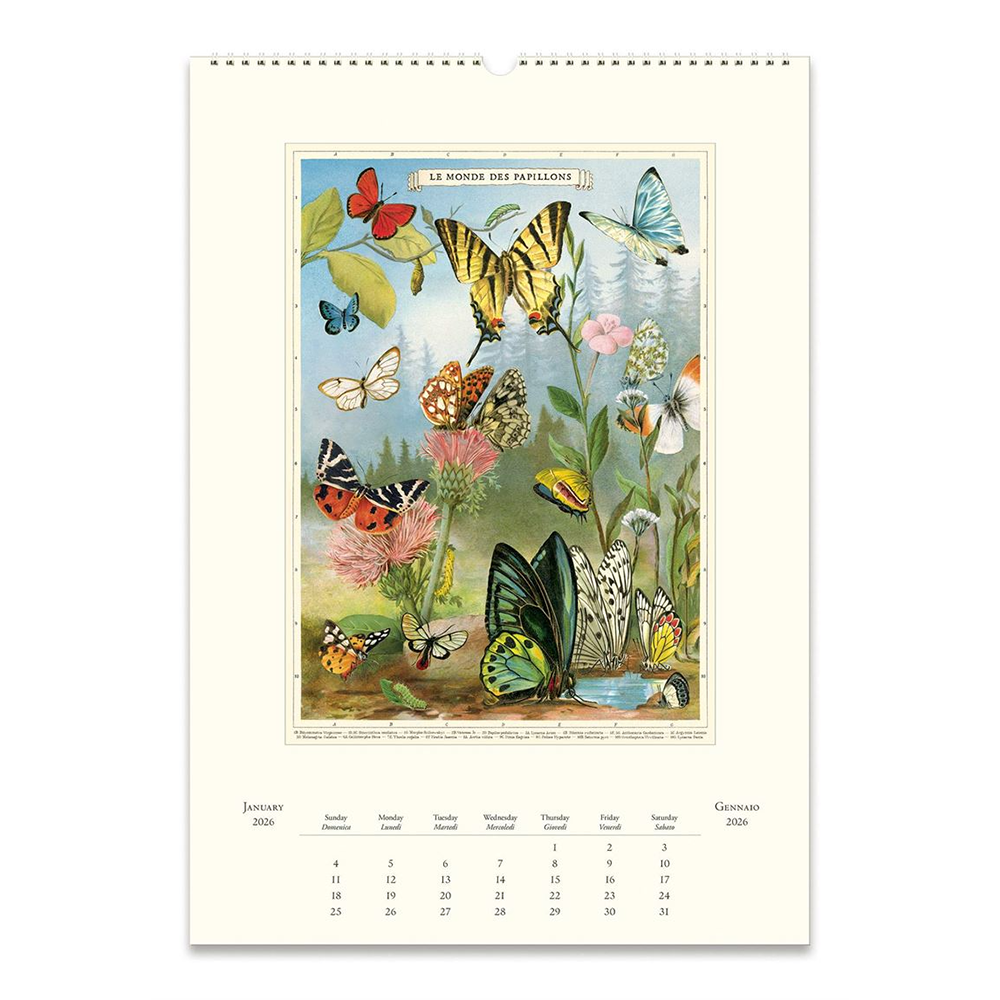 Cavallini 2026 Wall Calendar Entomology
