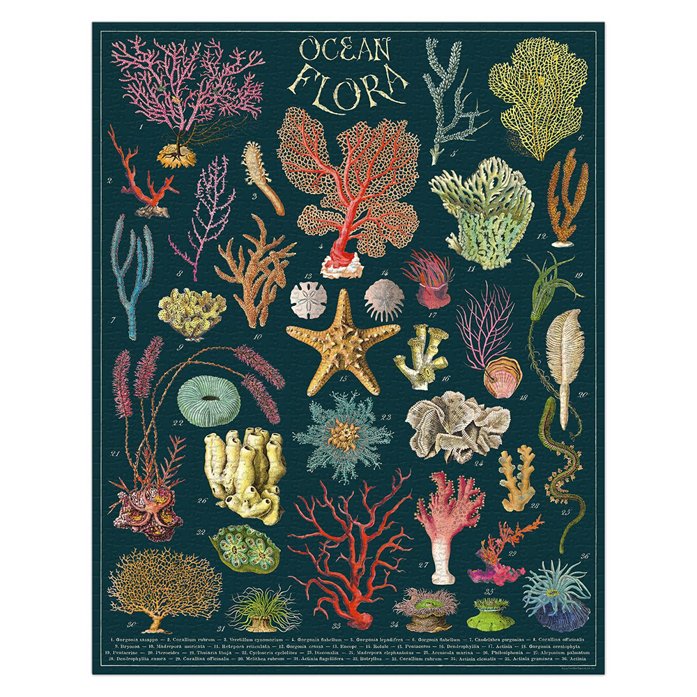 Cavallini 1000 Piece Puzzle Ocean Flora