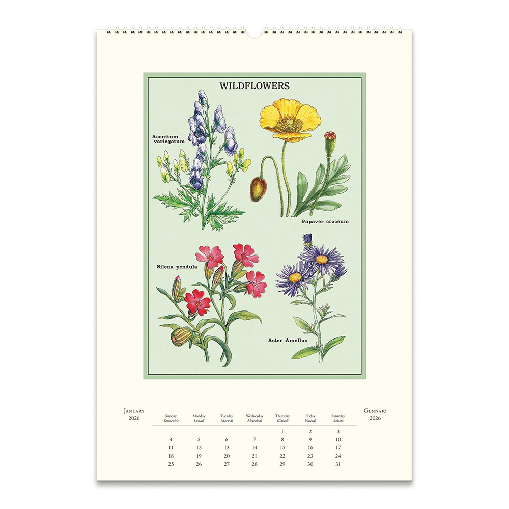 Cavallini 2026 Wall Calendar Wildflowers