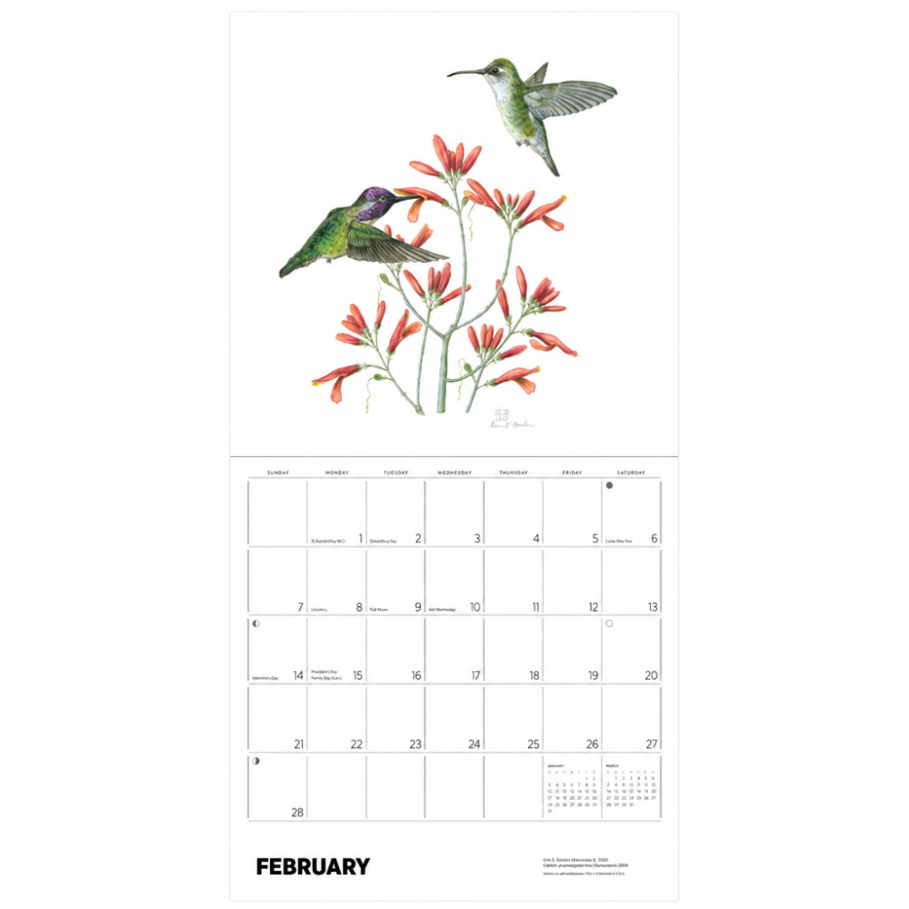 A February wall calendar page featuring two green hummingbirds and orange flowers above a clean monthly grid layout with day numbers and a small January 2019 preview at the bottom.