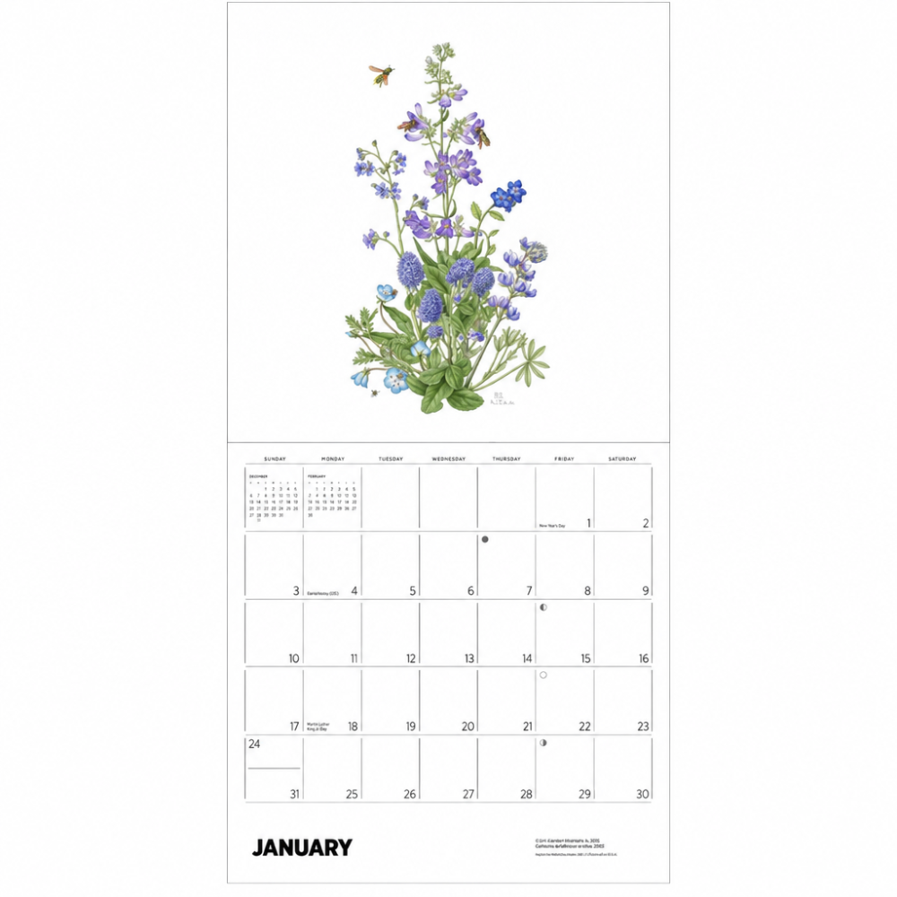 A botanical monthly calendar page showing a watercolor-style illustration of bluebells and bumblebees at the top, with a January grid below and blank days through 30 arranged on a white background.