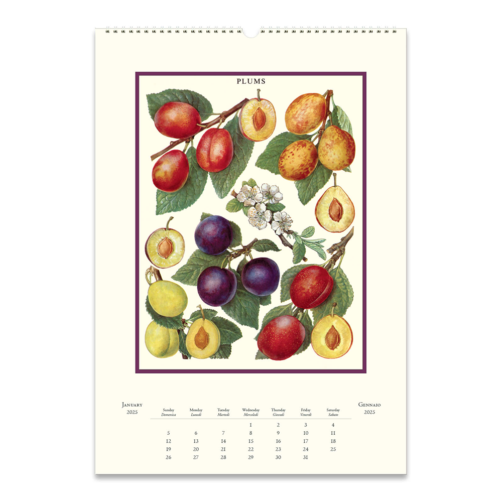 Cavallini 2025 Wall Calendar Farmer's Market