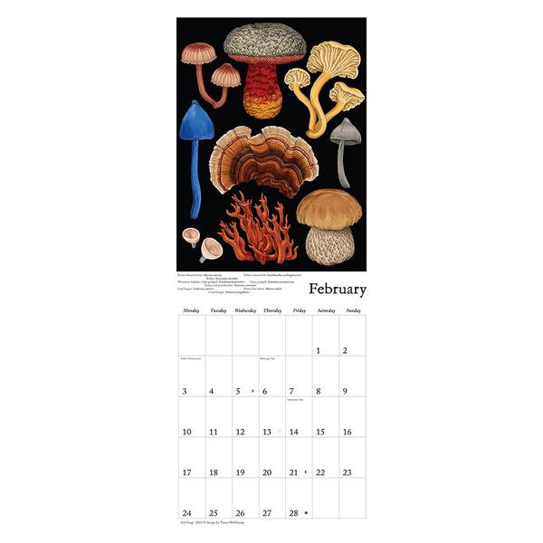 Tanya Wolfkamp 2025 Wall Calendar