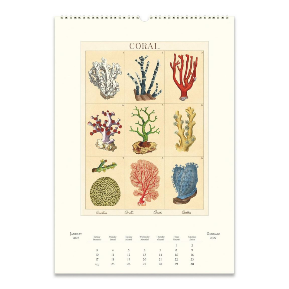 A vintage-style coral calendar page featuring a 3x3 grid of illustrated corals under the title 'CORAL' on a cream background, with monthly calendar grids along the bottom.