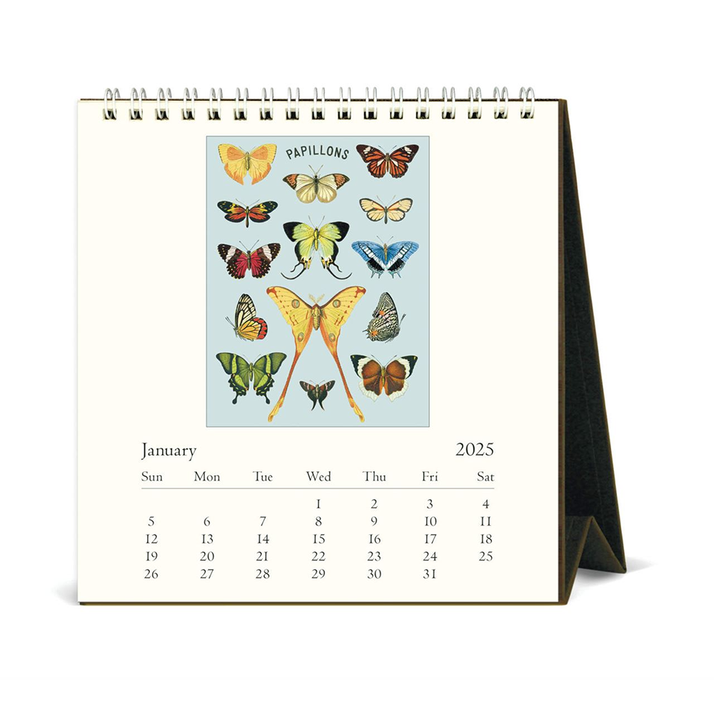 Cavallini 2025 Desk Calendar Butterflies