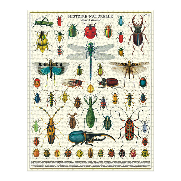 Cavallini 1000 Piece Puzzle Bugs and Insects