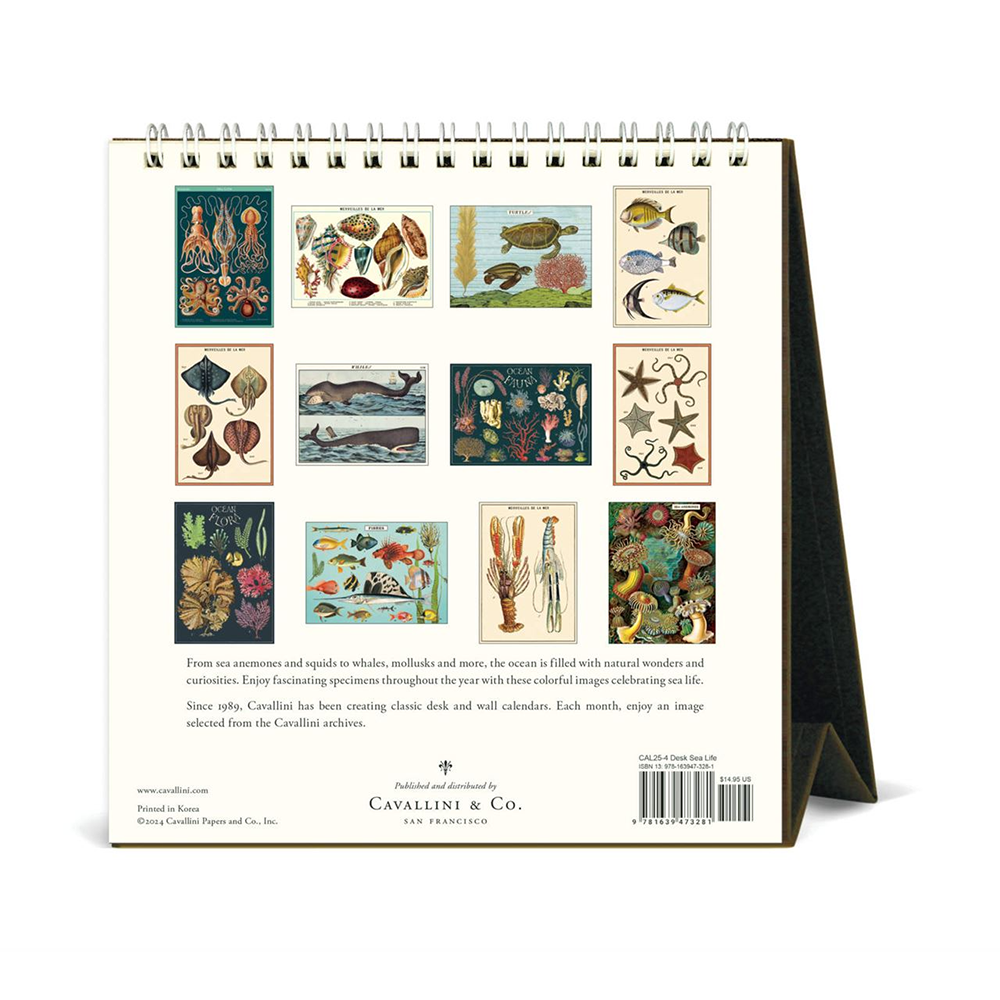 Cavallini 2025 Desk Calendar Sea Life