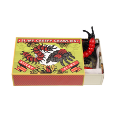 Rex London Box of Slimy Creepy Crawlies
