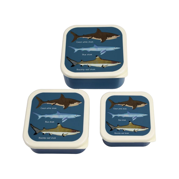 Rex Snack Box Sharks