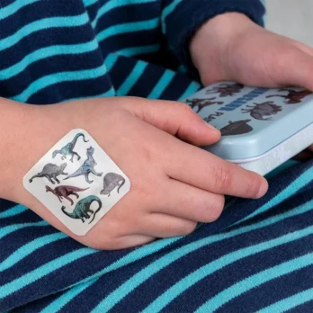 Rex Plasters in Tin Prehistoric Land Dinosaurs