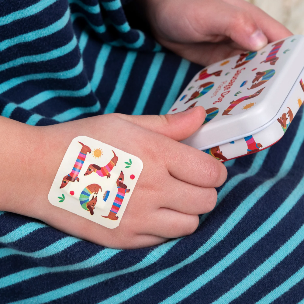 Rex Plasters in Tin  Sausage Dog