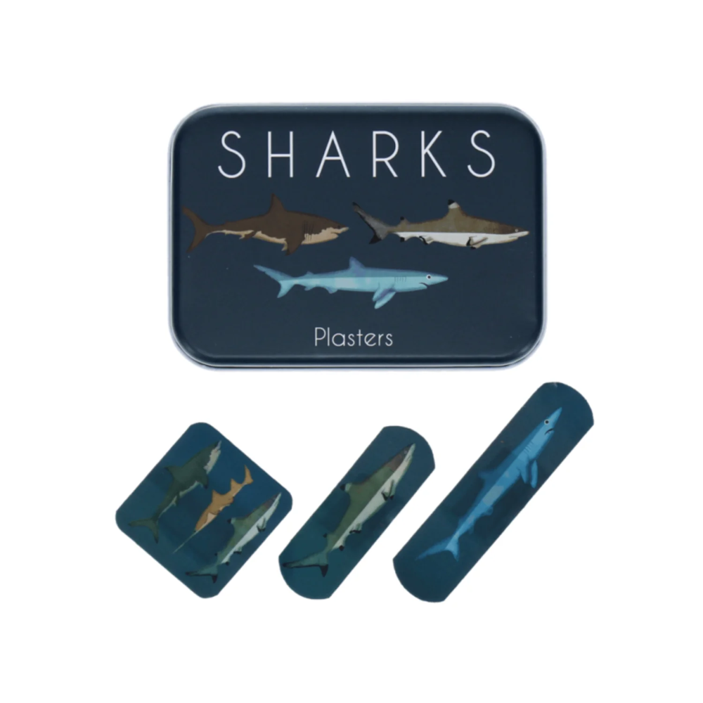 Rex Plasters in Tin Sharks