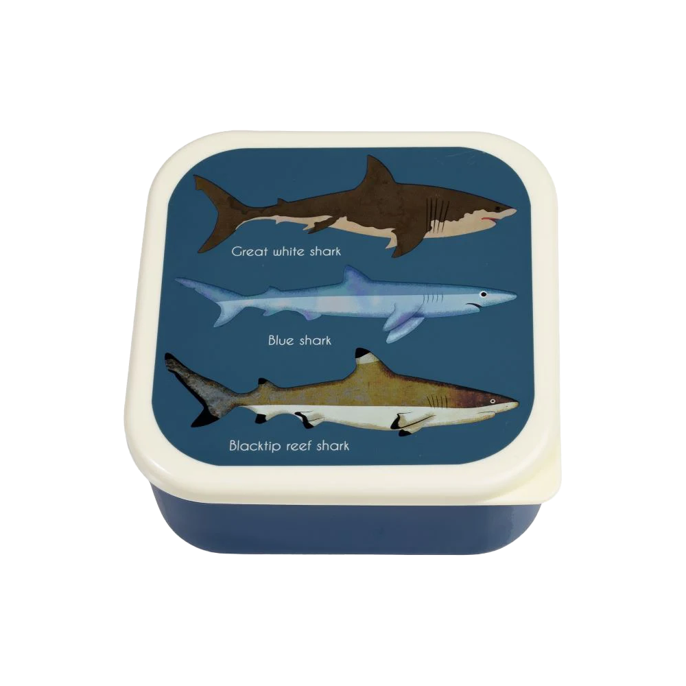 Rex Snack Box Sharks