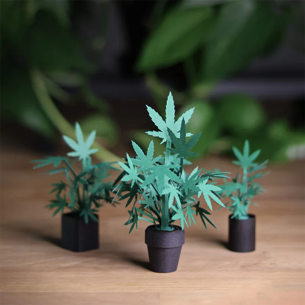 Pikkii Roll Your Own Weed Plants Paper Craft Kit
