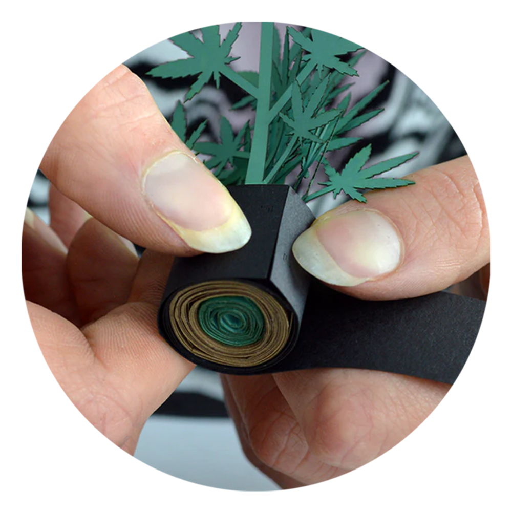Pikkii Roll Your Own Weed Plants Paper Craft Kit