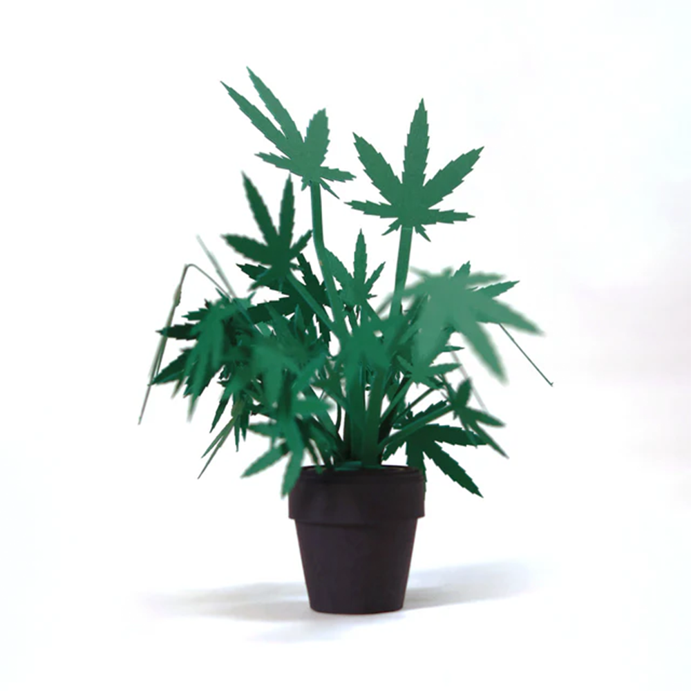 Pikkii Roll Your Own Weed Plants Paper Craft Kit