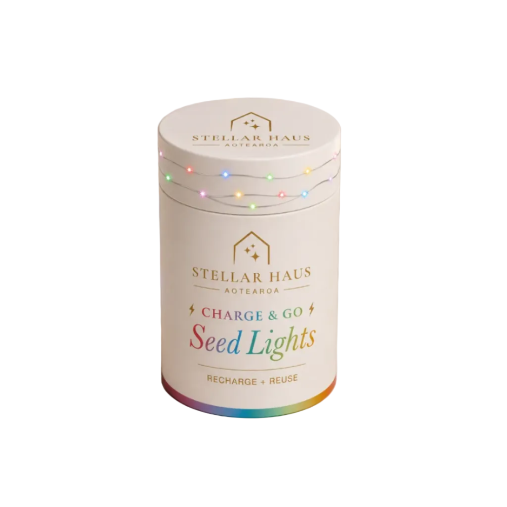 Stellar Haus Seed Lights Rechargeable 2m Charge & Go Silver Rainbow