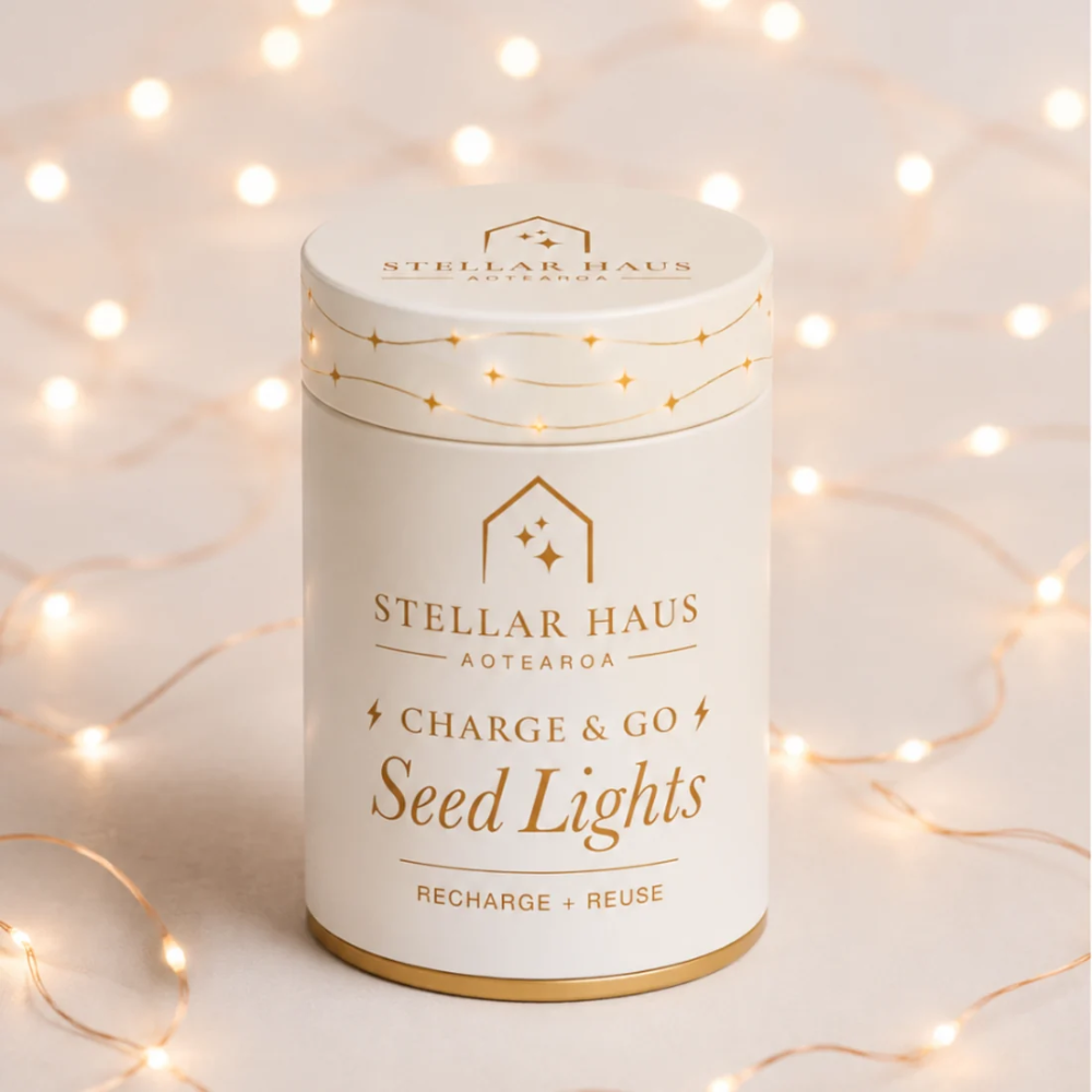 Stellar Haus Seed Lights Rechargeable 2m Charge & Go Copper Warm White